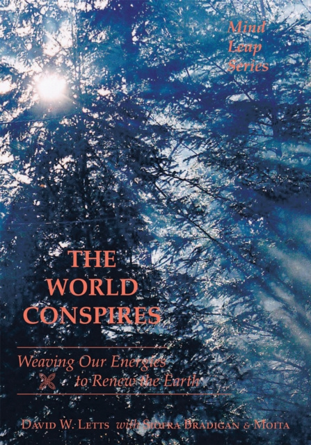 E-knjiga World Conspires David W. Letts