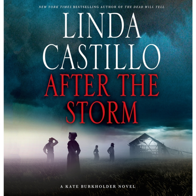 Audiobook After the Storm Linda Castillo