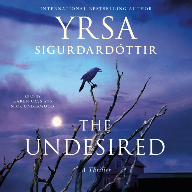 Audiokniha Undesired Yrsa Sigurdardottir