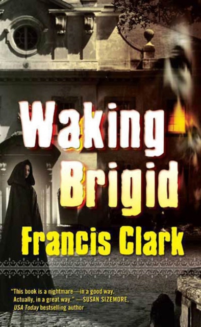 E-knjiga Waking Brigid Francis Clark