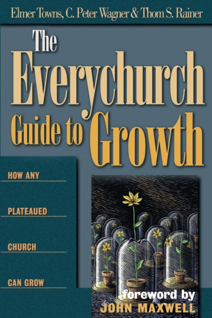 E-kniha Everychurch Guide to Growth Thom S. Rainer