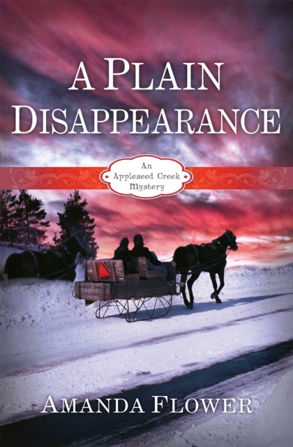 E-knjiga Plain Disappearance Amanda Flower