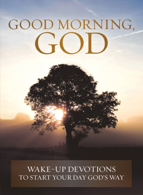 E-kniha Good Morning, God David C Cook