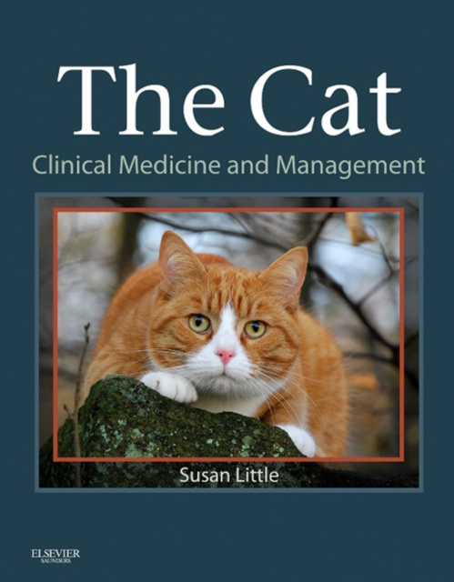 E-book Cat Susan Little