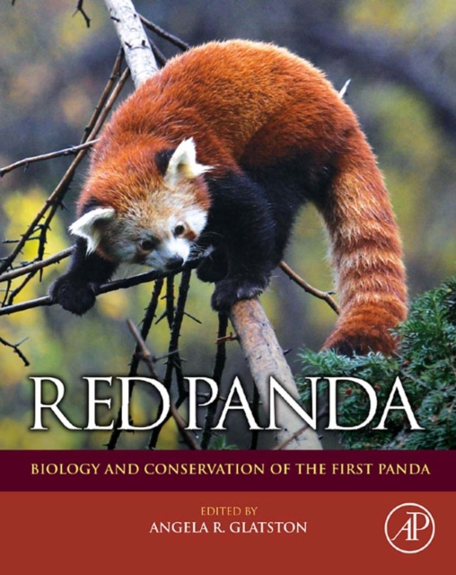 Libro electrónico Red Panda Angela R. Glatston