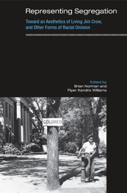 E-book Representing Segregation Brian Norman