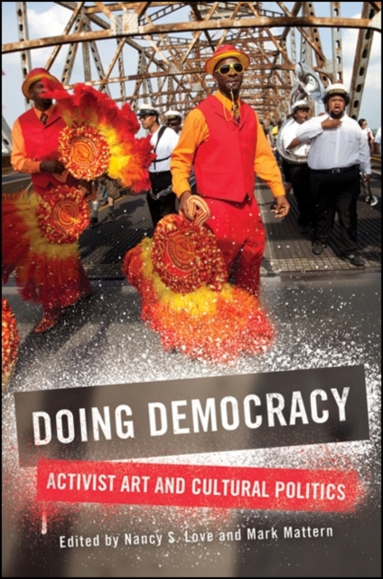 E-Book Doing Democracy Nancy S. Love