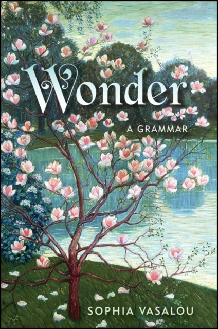 Livre numérique Wonder Sophia Vasalou