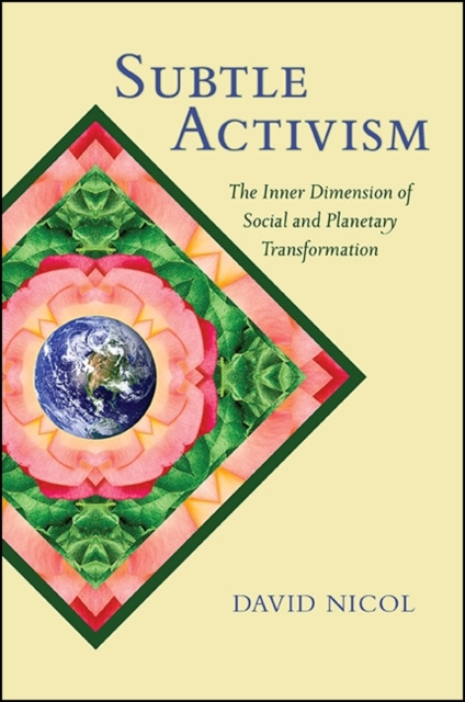 E-Book Subtle Activism David Nicol