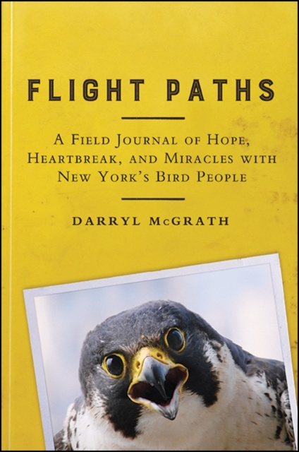 E-Book Flight Paths Darryl McGrath