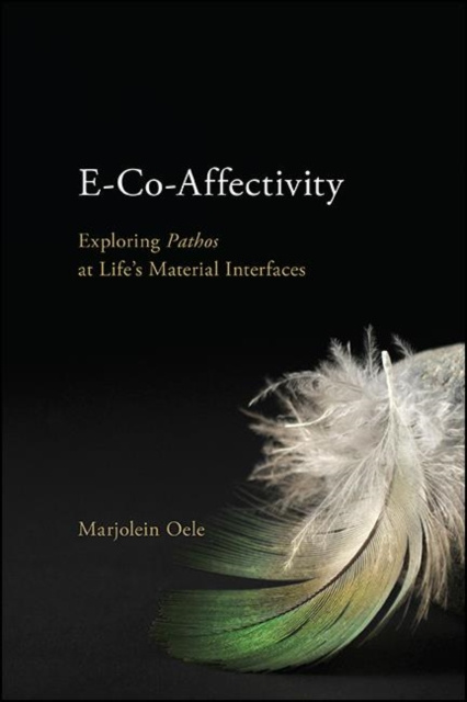 E-Book E-Co-Affectivity Marjolein Oele