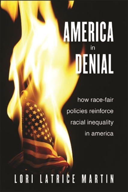 E-book America in Denial Lori Latrice Martin