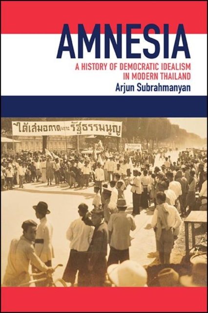 E-knjiga Amnesia Arjun Subrahmanyan