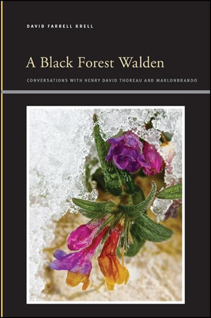 E-book Black Forest Walden David Farrell Krell