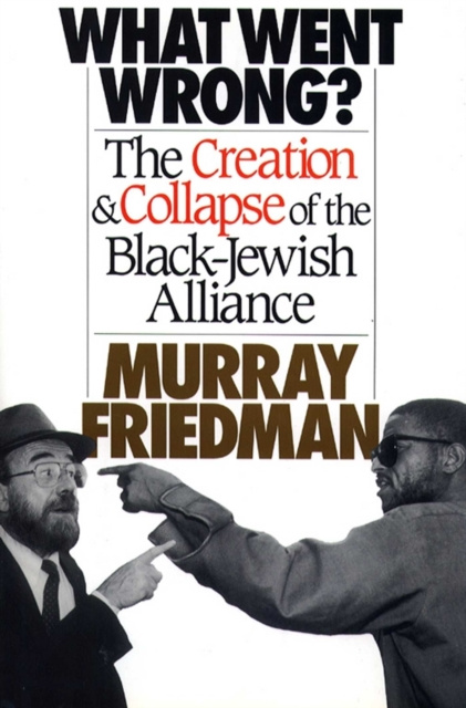 E-knjiga What Went Wrong? Murray Friedman