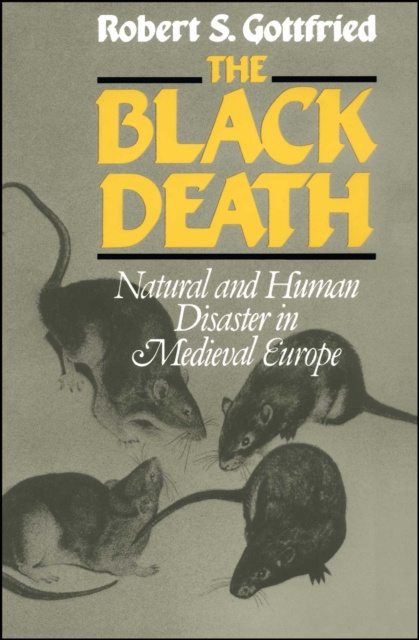 E-book Black Death Robert S. Gottfried
