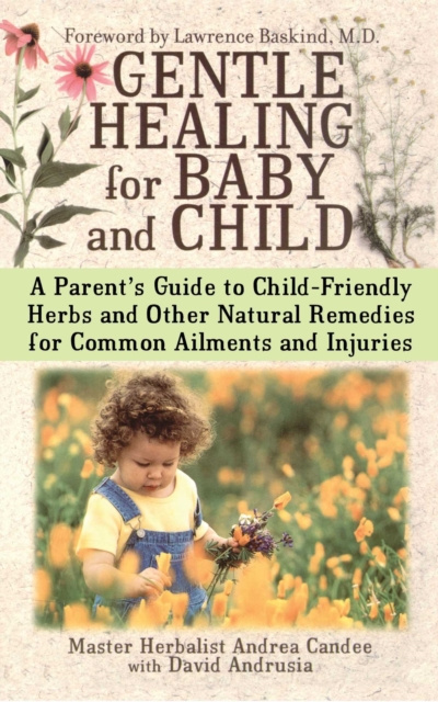 E-Book Gentle Healing for Baby and Child Andrea Candee