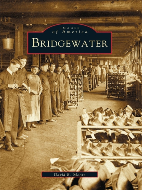 E-knjiga Bridgewater David R. Moore
