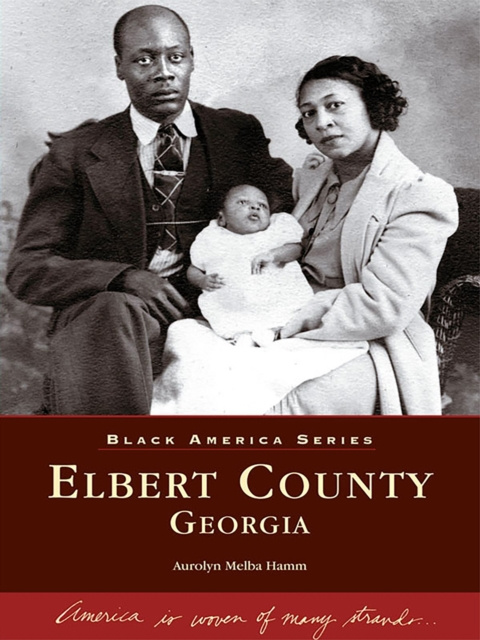 E-knjiga Elbert County, Georgia Aurolyn Melba Hamm
