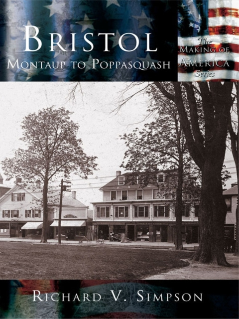 E-kniha Bristol Richard V. Simpson