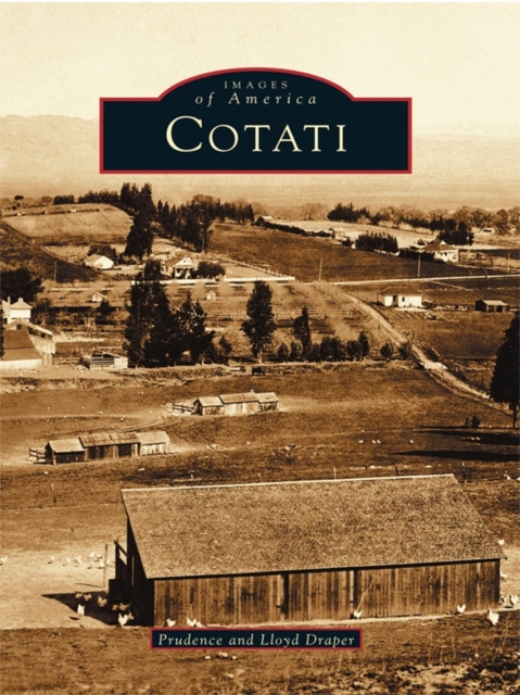 E-knjiga Cotati Prudence Draper
