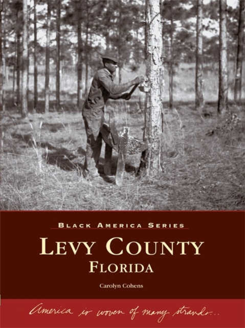 E-Book Levy County, Florida Carolyn Cohens