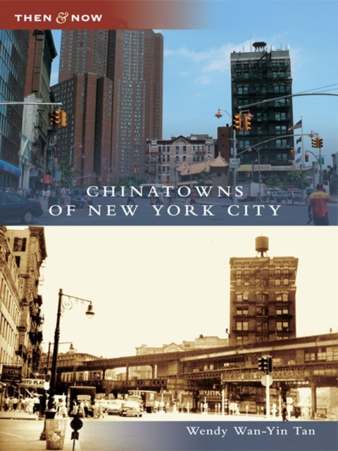 E-knjiga Chinatowns of New York City Wendy Wan-Yin Tan