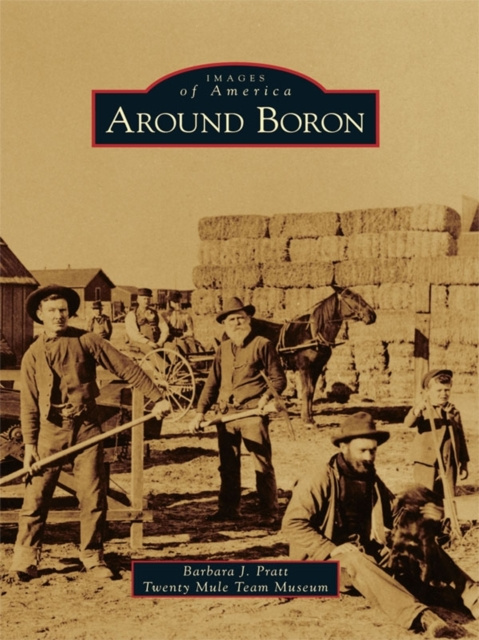 E-kniha Around Boron Barbara J. Pratt
