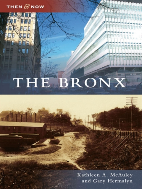 E-knjiga Bronx Kathleen A. McAuley