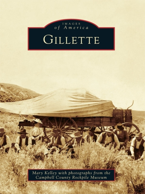 E-book Gillette Mary Kelley