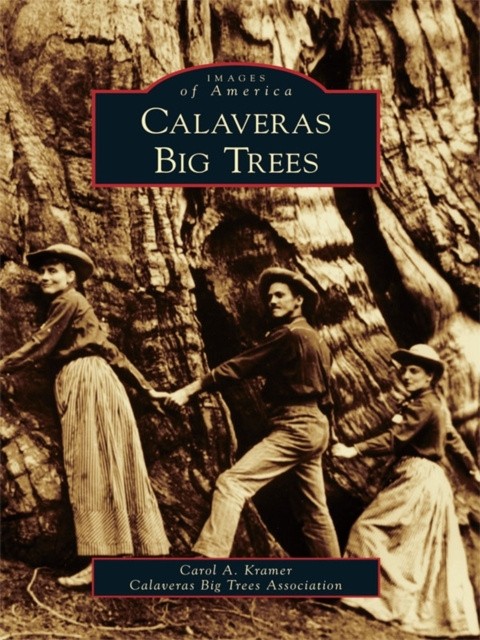 E-knjiga Calaveras Big Trees Carol Kramer