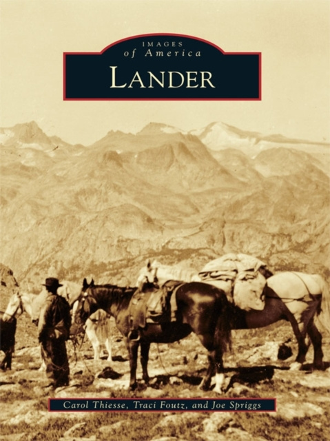 E-book Lander Carol Thiesse