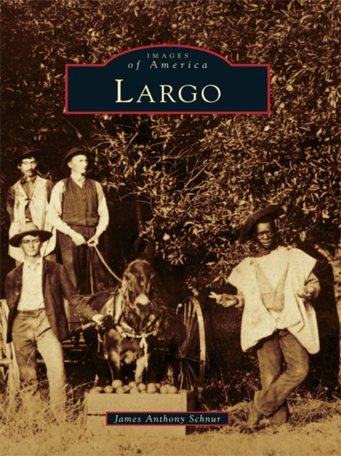 E-knjiga Largo James Anthony Schnur