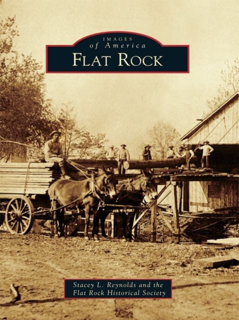 E-book Flat Rock Stacey Reynolds