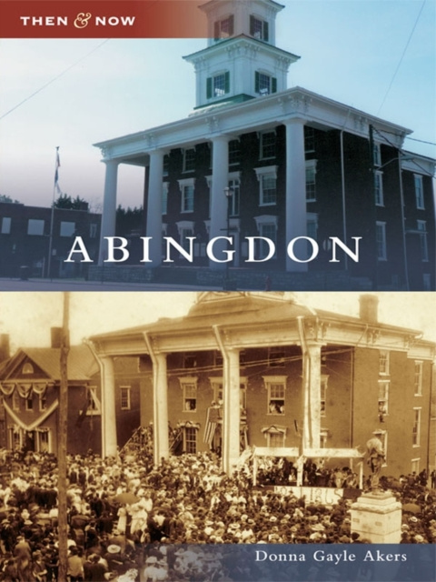 E-knjiga Abingdon Donna Gayle Akers