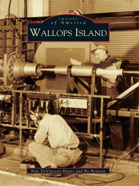 E-knjiga Wallops Island Nan DeVincent-Hayes