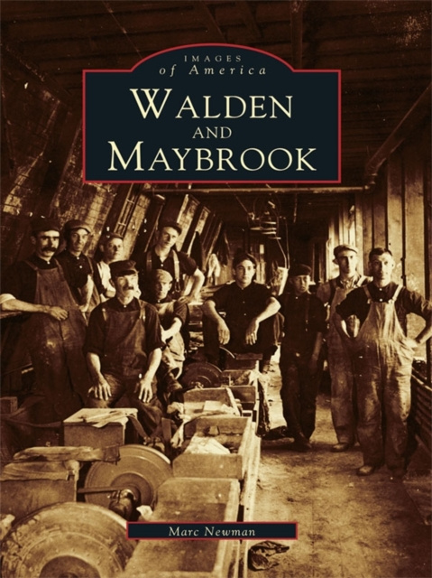 E-kniha Walden and Maybrook Marc Newman