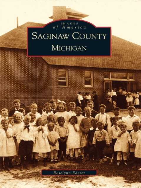 E-Book Saginaw County, Michigan Roselynn Ederer