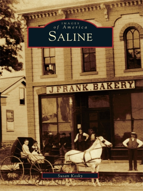 E-book Saline Susan Kosky