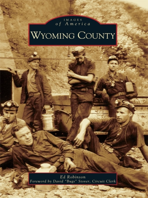 E-book Wyoming County Ed Robinson