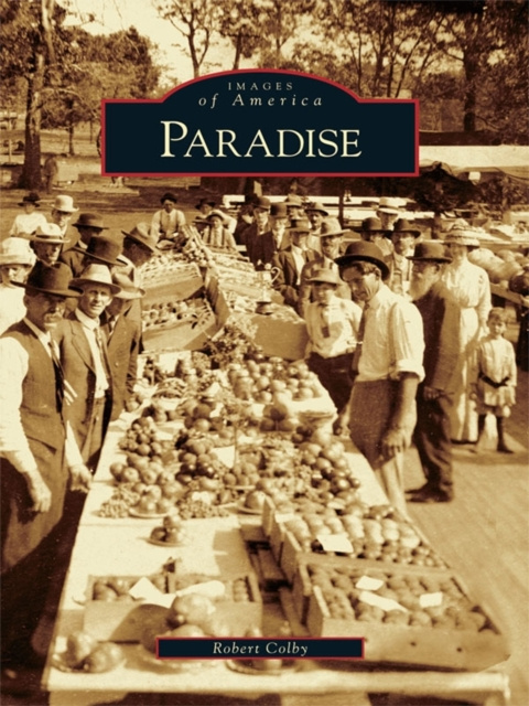 E-kniha Paradise Robert Colby