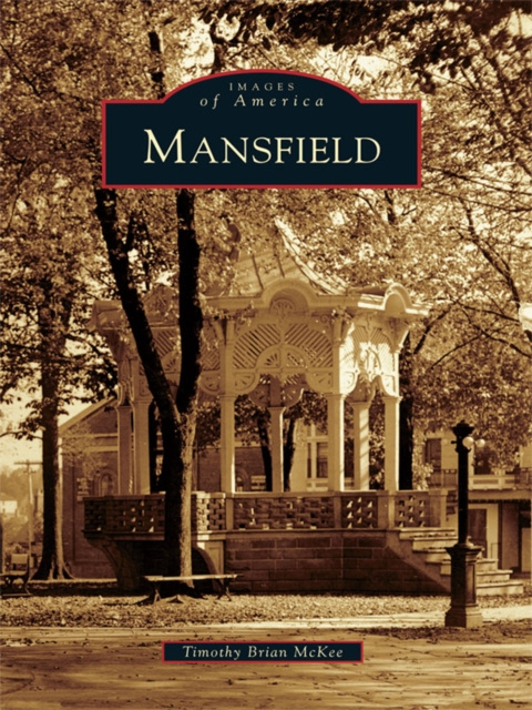 E-book Mansfield Timothy Brian McKee