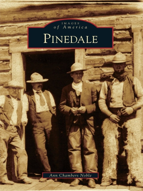 E-Book Pinedale Ann Chambers Noble