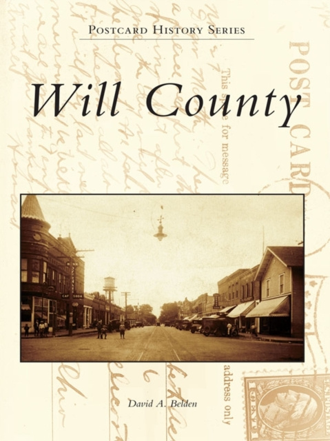E-book Will County David A. Belden