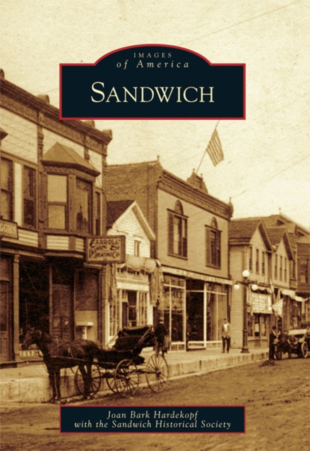 E-knjiga Sandwich Joan Bark Hardekopf