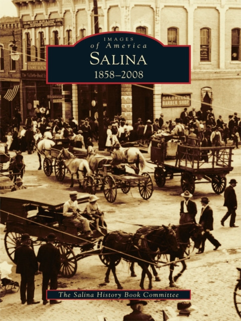 E-kniha Salina The Salina History Book Committee