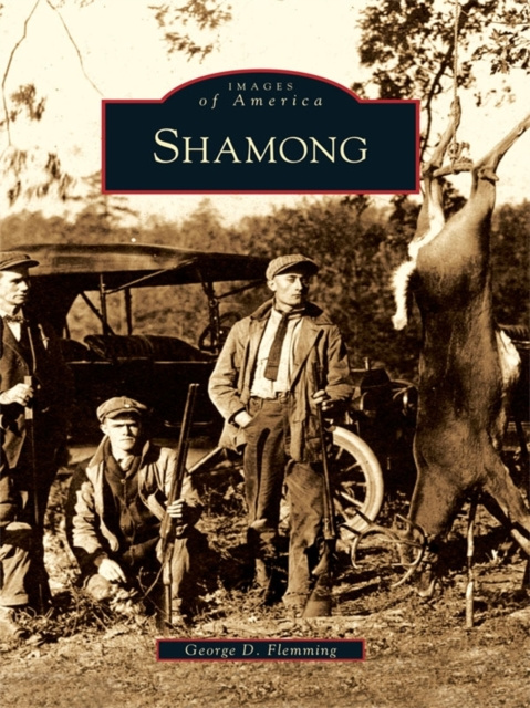 E-book Shamong George D. Flemming