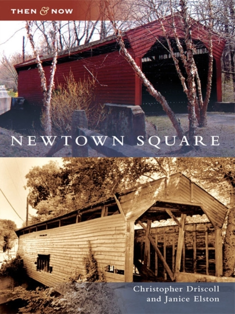 E-knjiga Newtown Square Christopher Driscoll