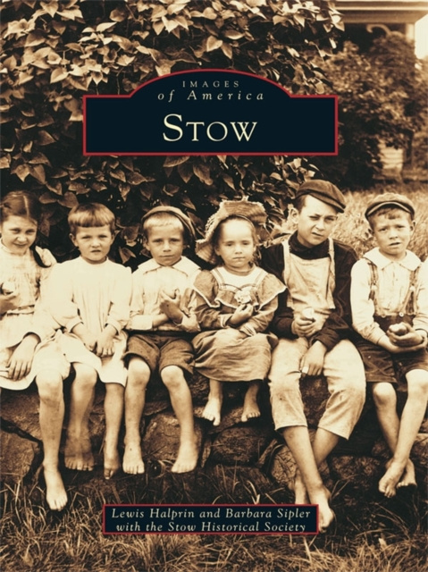 E-kniha Stow Lewis Halprin