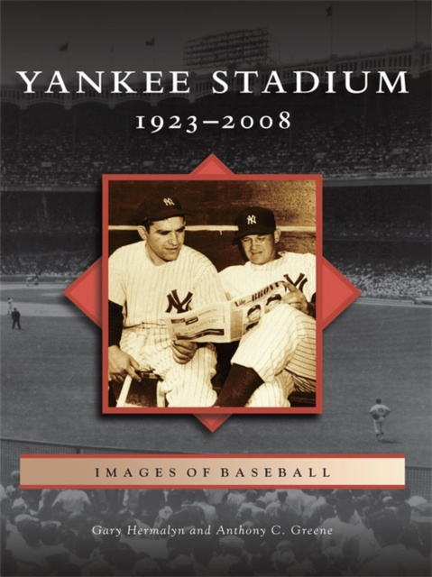 E-book Yankee Stadium Gary Hermalyn